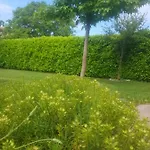 Apartman Corluka