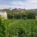 Corluka Apartman Grude