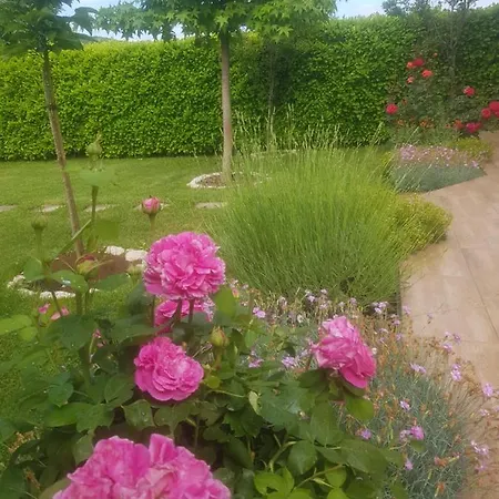 Corluka Διαμέρισμα *