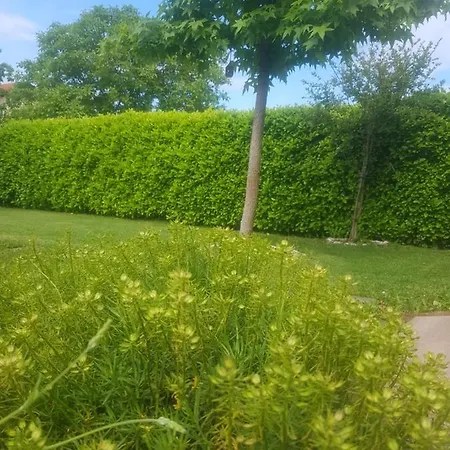 Διαμέρισμα Corluka