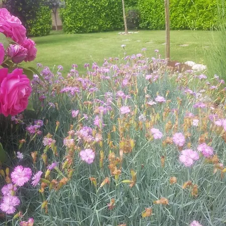 Corluka Διαμέρισμα