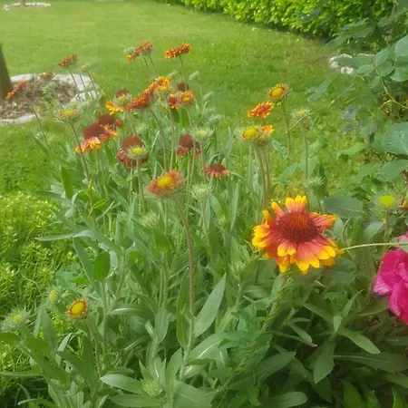 Apartamento Corluka Grude