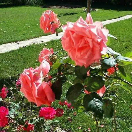 Διαμέρισμα Corluka Grude