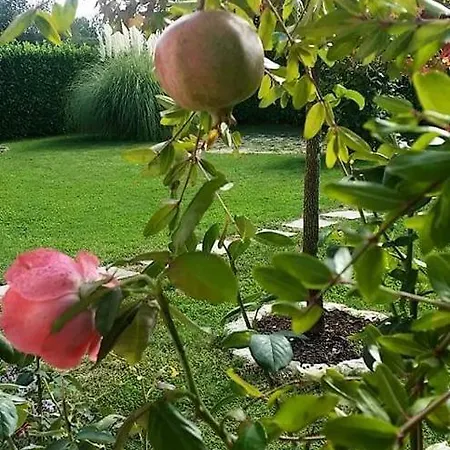 Corluka Διαμέρισμα *